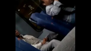 Exibindo