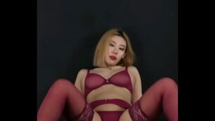 섹트 년생